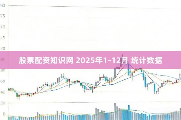 股票配资知识网 2025年1-12月 统计数据
