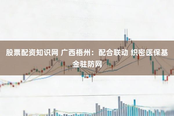 股票配资知识网 广西梧州：配合联动 织密医保基金驻防网