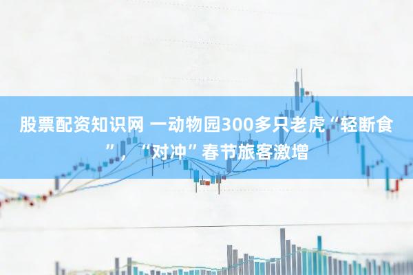 股票配资知识网 一动物园300多只老虎“轻断食”，“对冲”春节旅客激增