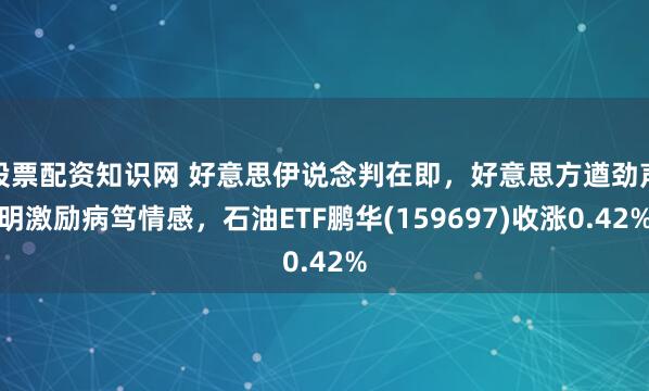 股票配资知识网 好意思伊说念判在即，好意思方遒劲声明激励病笃情感，石油ETF鹏华(159697)收涨0.42%
