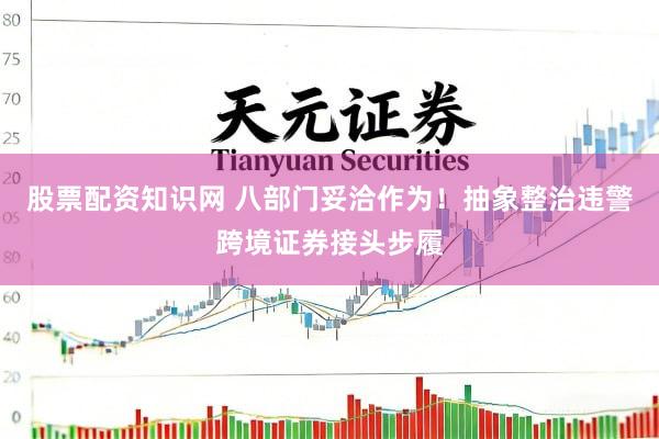 股票配资知识网 八部门妥洽作为！抽象整治违警跨境证券接头步履