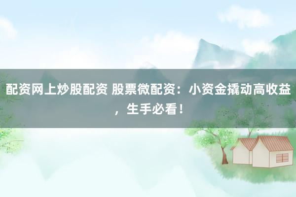 配资网上炒股配资 股票微配资：小资金撬动高收益，生手必看！